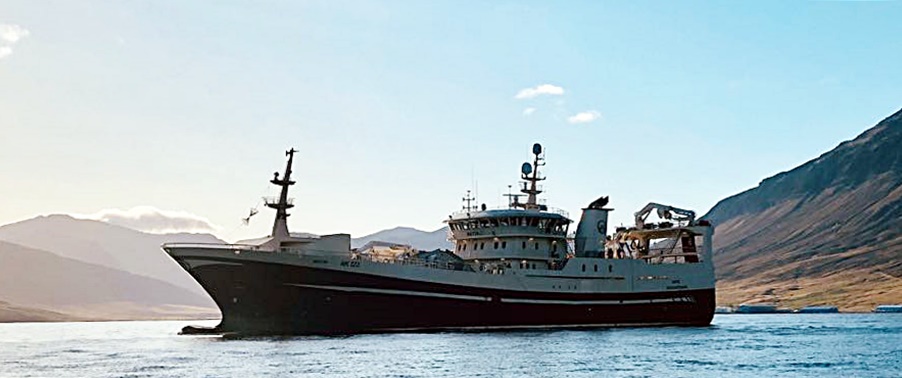 Beitir NK landaði 1600 tonnum af íslenskri sumargotssíld sl. mánudag. Ljósm. Helgi Freyr Ólason