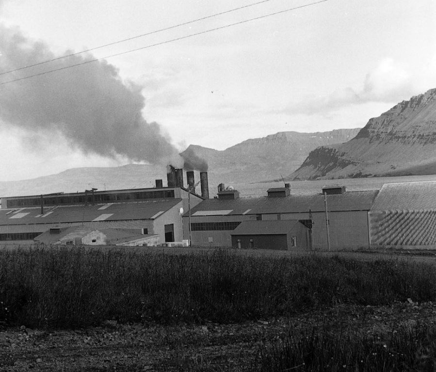 Fiskimjölsverksmiðja Síldarvinnslunnar tók á móti tæplega 12.000 tonnum af loðnu árið 1969. Ljósm. Jóhann Zoega