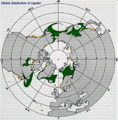 Global distribution