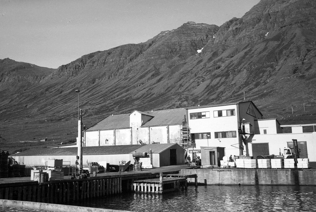 Frystihús Síldarvinnslunnar árið 1979. Mynd í eigu Skjala- og myndasafns Norðfjarðar