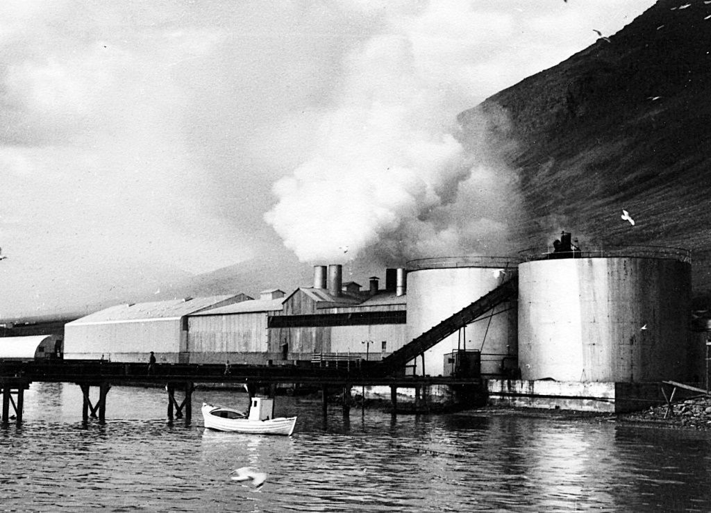 Síldarverksmiðja Síldarvinnslunnar tók á móti 107.533 tonnum af síld á vertíðinni 1966. Ljósm. Hjörleifur Guttormsson